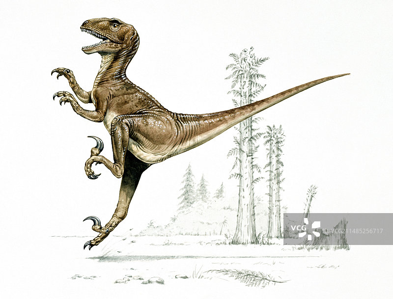 恐爪龙图片素材