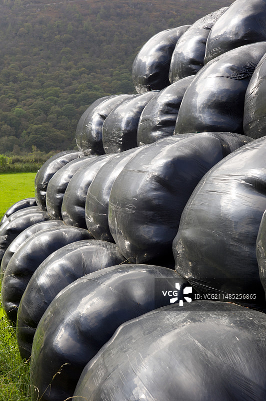 青贮饲料包图片素材