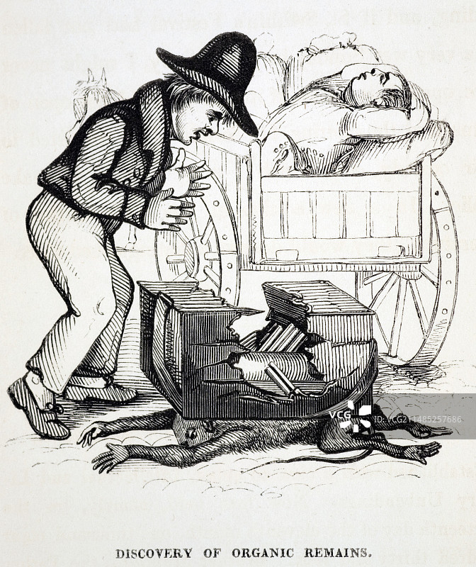 1836年有机物早期化石卡通图片素材