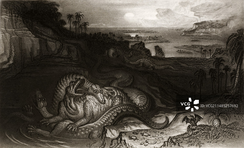 马丁的巨龙和禽龙图片素材