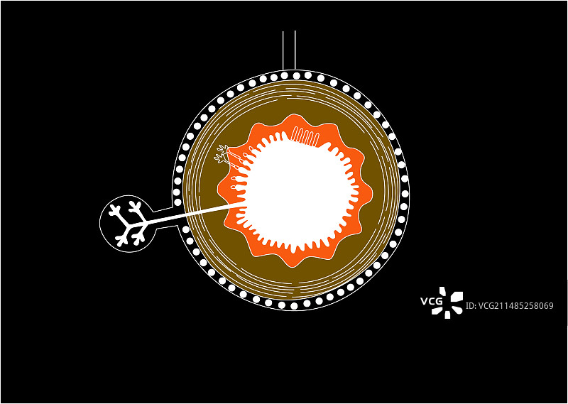 小肠解剖结构图图片素材