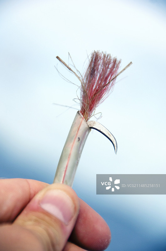 金枪鱼鱼钩图片素材