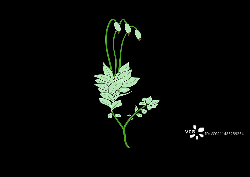 苔藓解剖结构艺术作品图片素材