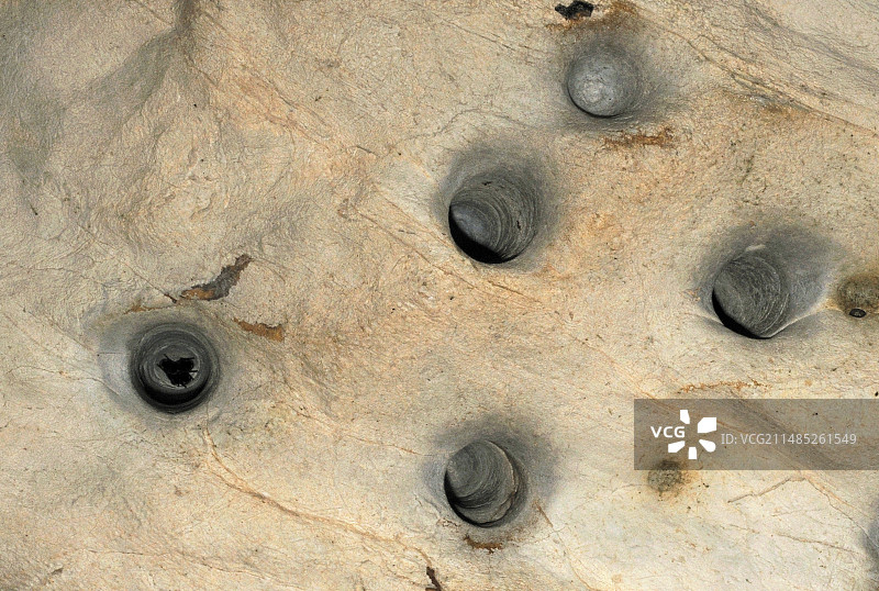 蝙蝠洞穴栖息孔图片素材