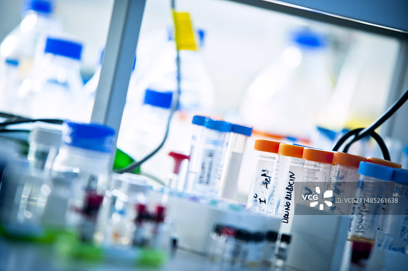 实验室中的各种玻璃器皿图片素材