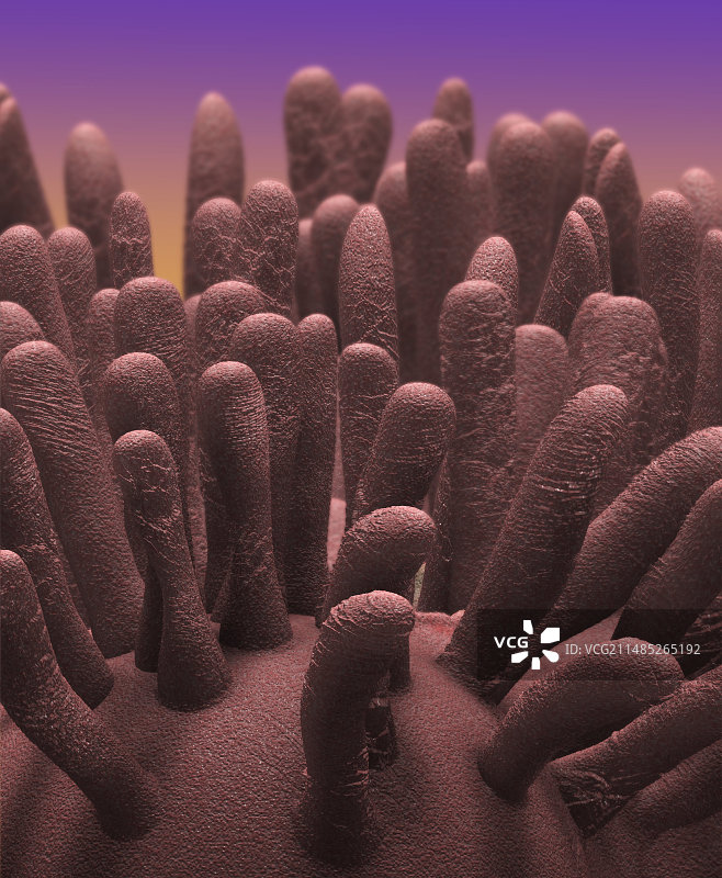 维利艺术作品图片素材