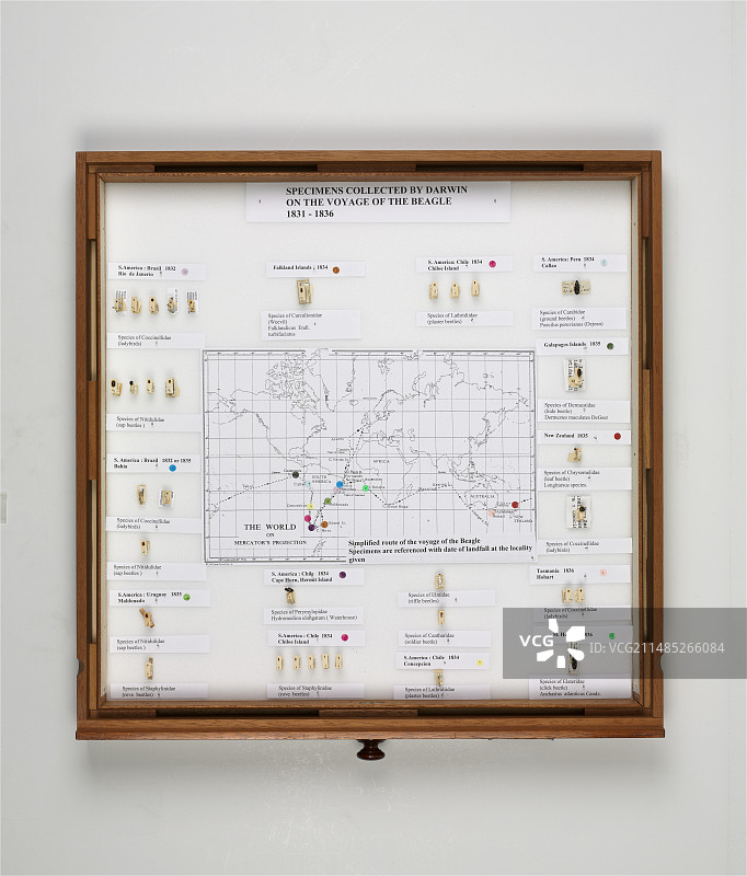 19世纪30年代的比格犬航海地图和展示图片素材