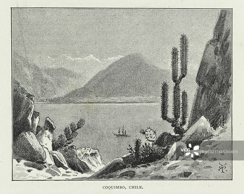 智利科金博艺术作品图片素材