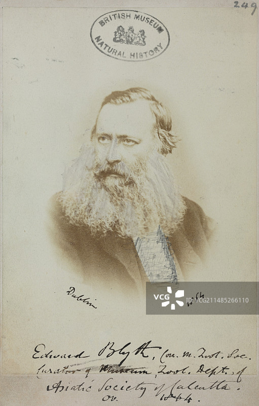 英国动物学家爱德华·布莱斯图片素材