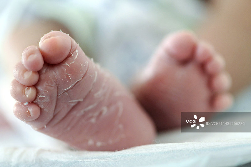 新生的婴儿图片素材