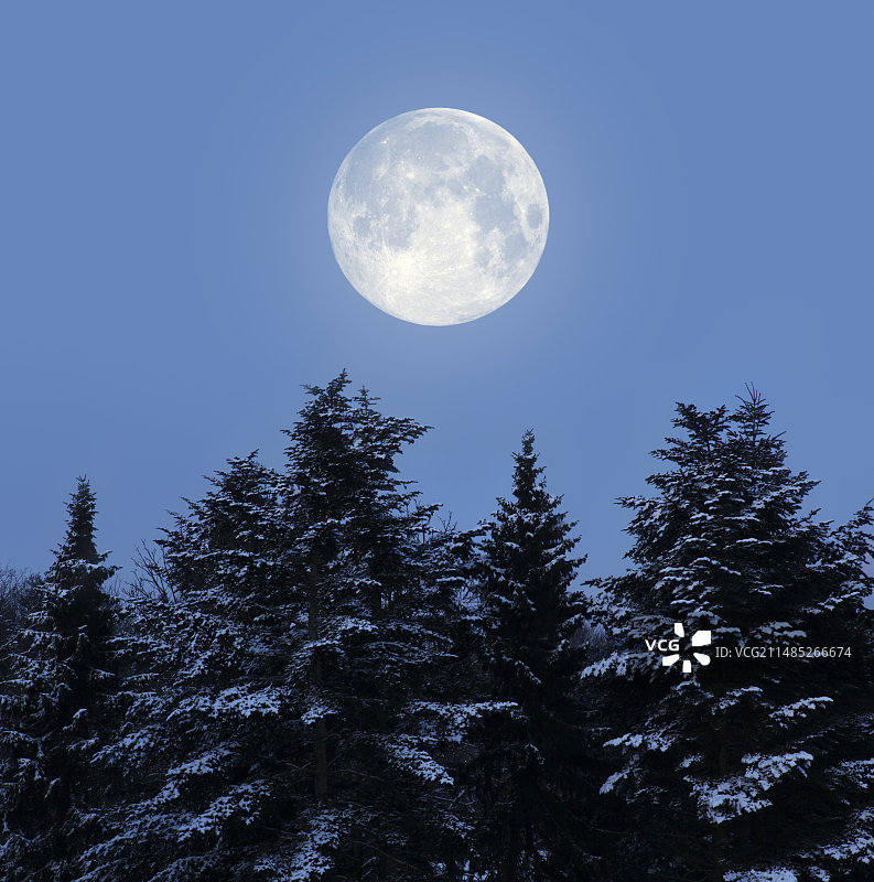 满月图片素材