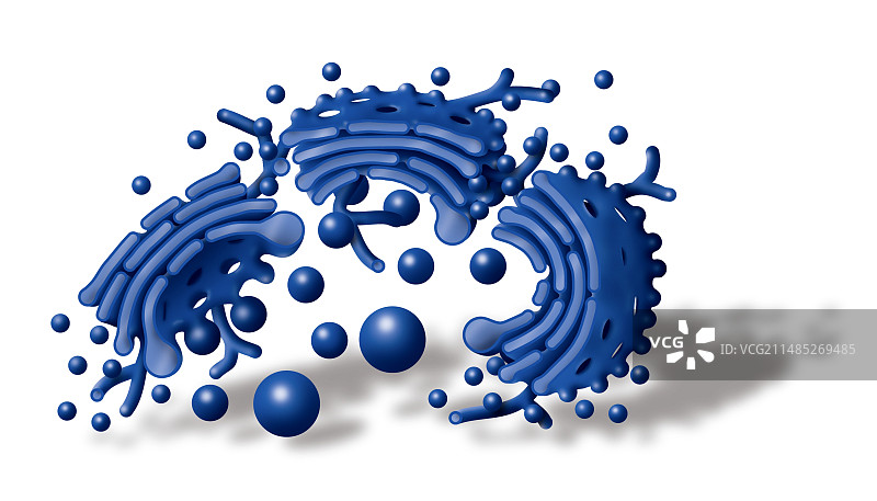 高尔基体艺术图图片素材