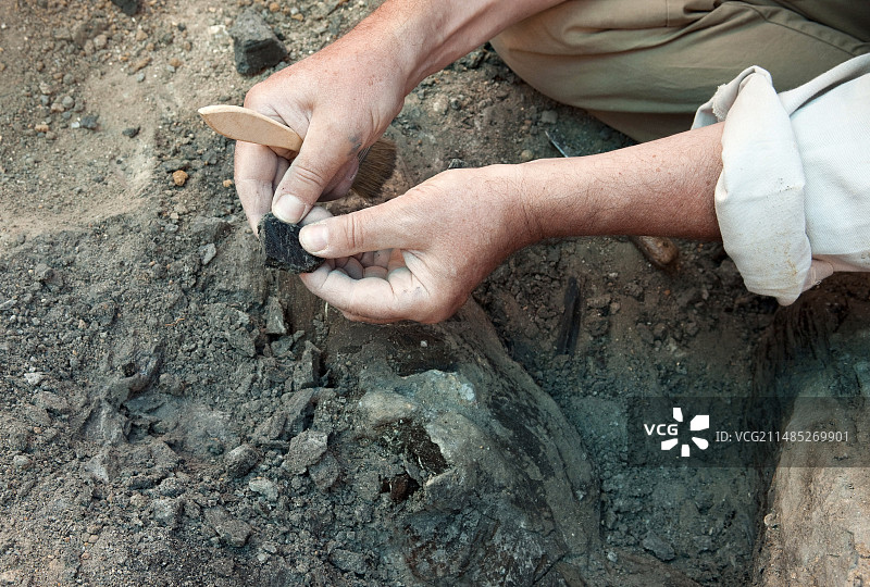 法国古生物发掘图片素材