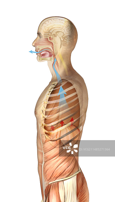 呼气艺术作品图片素材