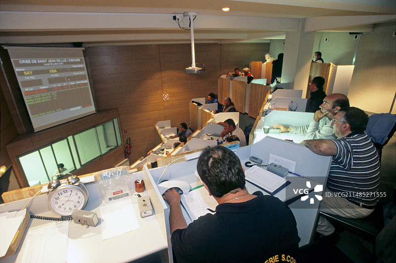 金枪鱼拍卖图片素材