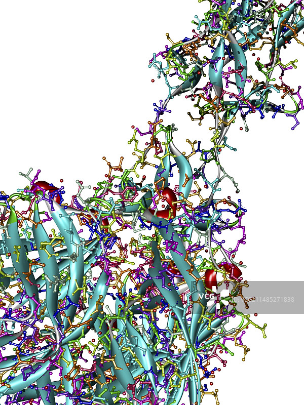 Sigma1蛋白分子艺术图图片素材