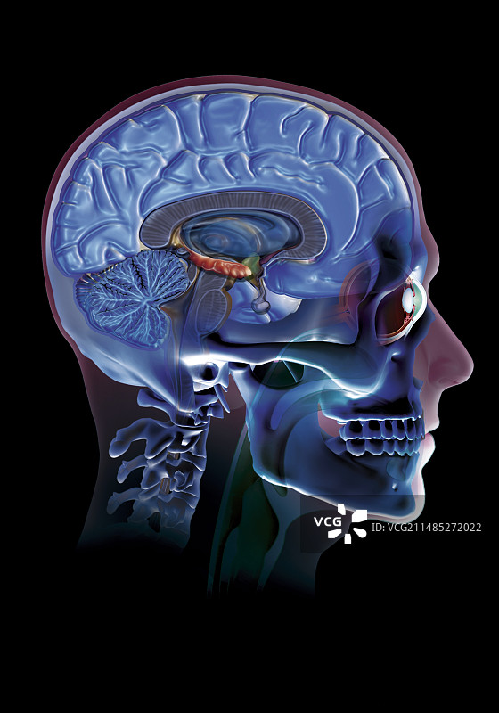 人头艺术作品图片素材