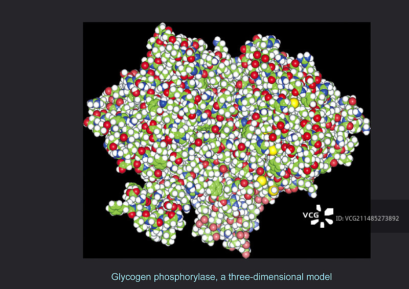 糖原磷酸化酶分子模型图片素材