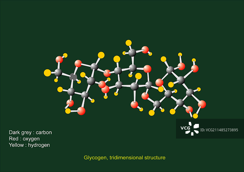 糖原单位分子模型图片素材