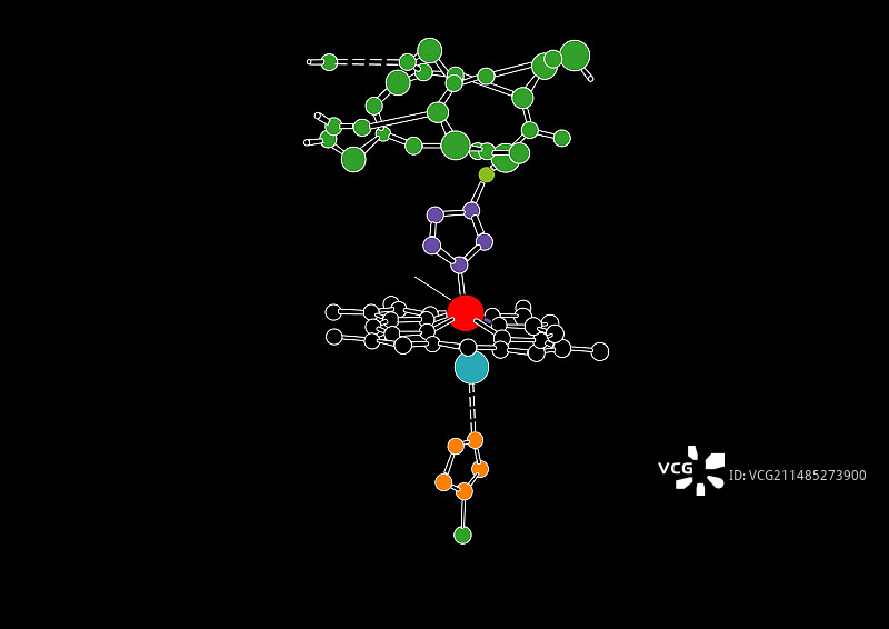 血红蛋白中的血红素基团图片素材