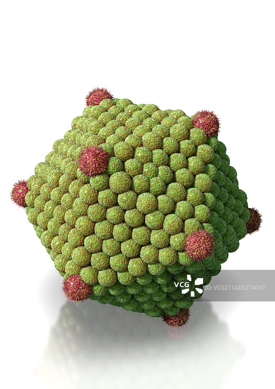 二十面体病毒颗粒艺术图图片素材