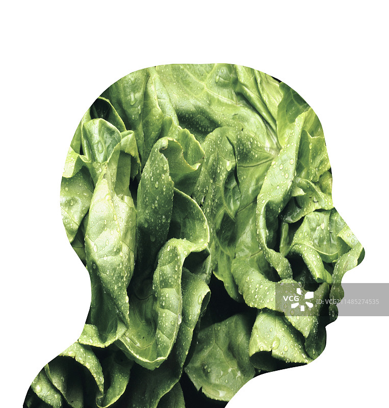 素食主义概念图图片素材