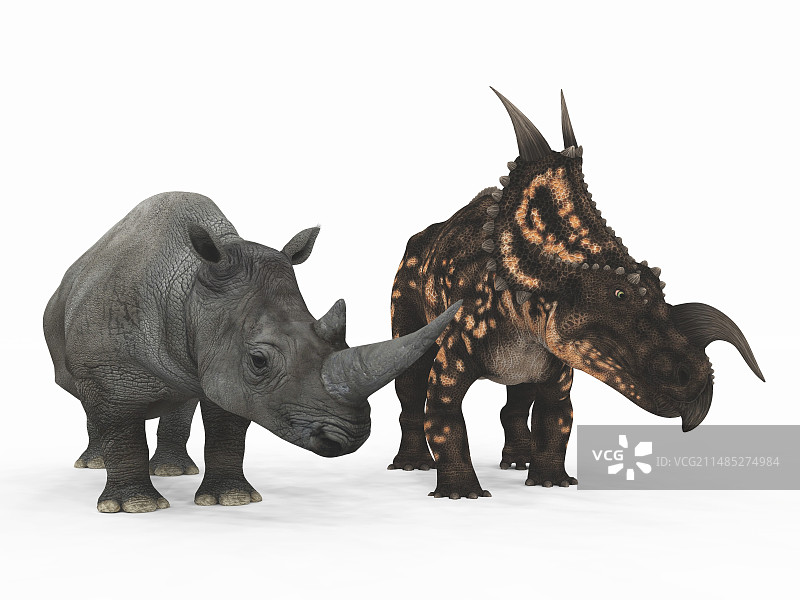 犀牛与埃尼俄龙图片素材