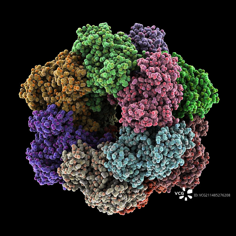 谷氨酰胺合成酶图片素材