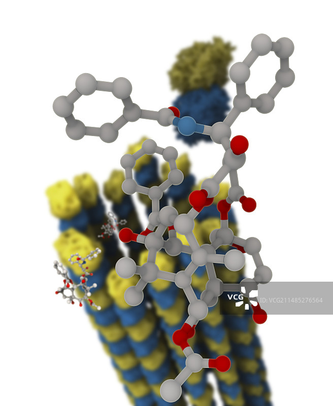 紫杉醇化疗药物和微管图片素材