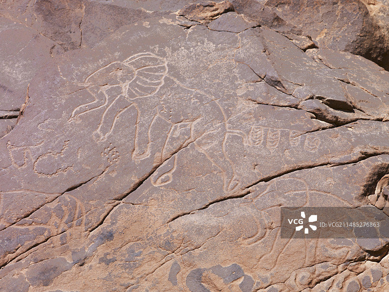 利比亚的大象岩画图片素材