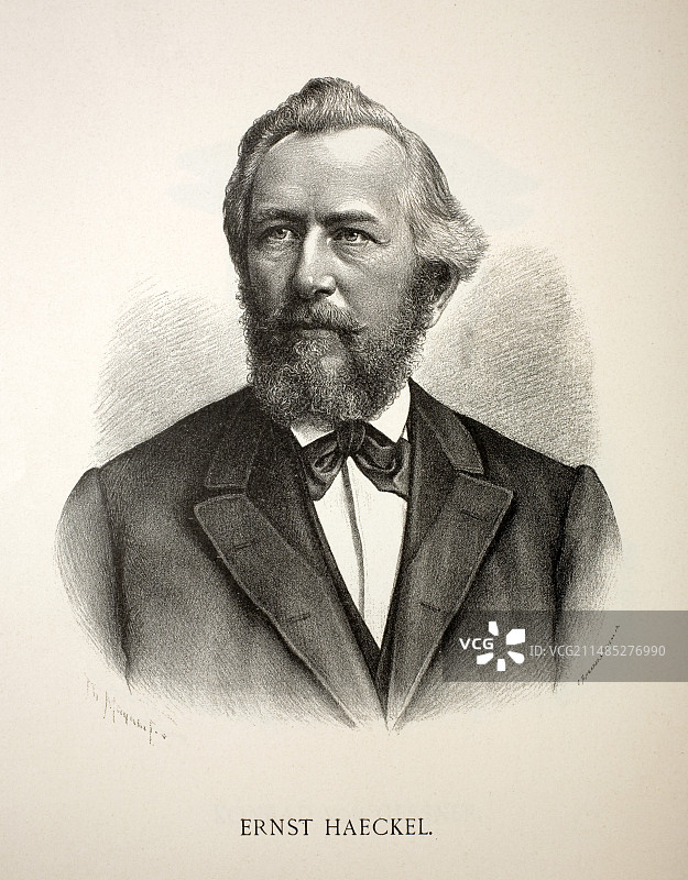 19世纪80年代恩斯特·海克尔德国雕刻作品图片素材