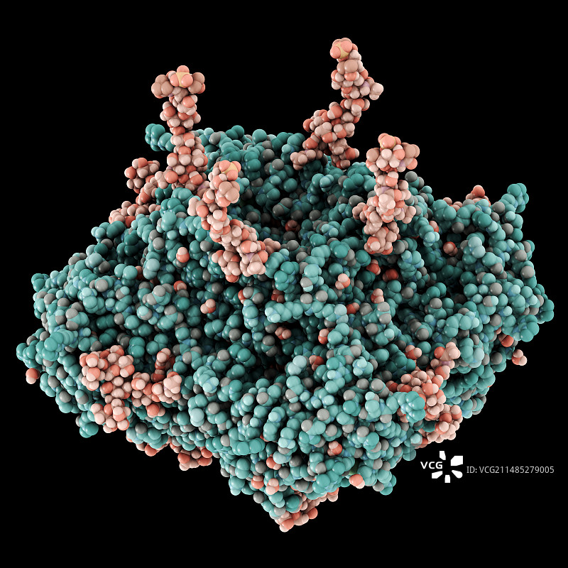 流感病毒表面蛋白分子图片素材