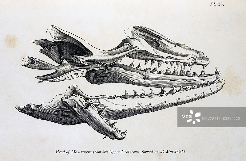 1770年马斯特里赫特莫萨龙图片素材