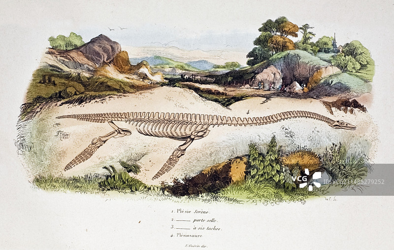 1838年蛇颈龙复原图图片素材