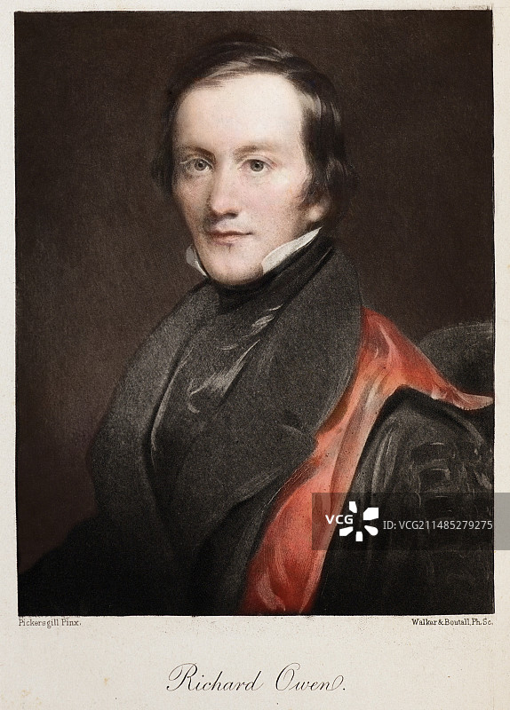 1841 理查德·欧文提出“恐龙”一词图片素材