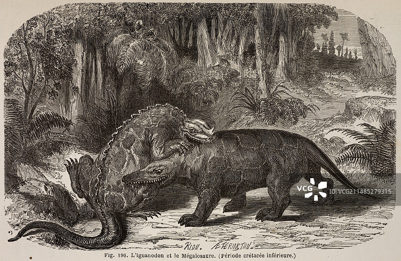 1863年费吉耶禽龙和斑龙图片素材