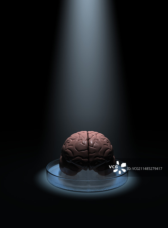 大脑研究，概念艺术品图片素材