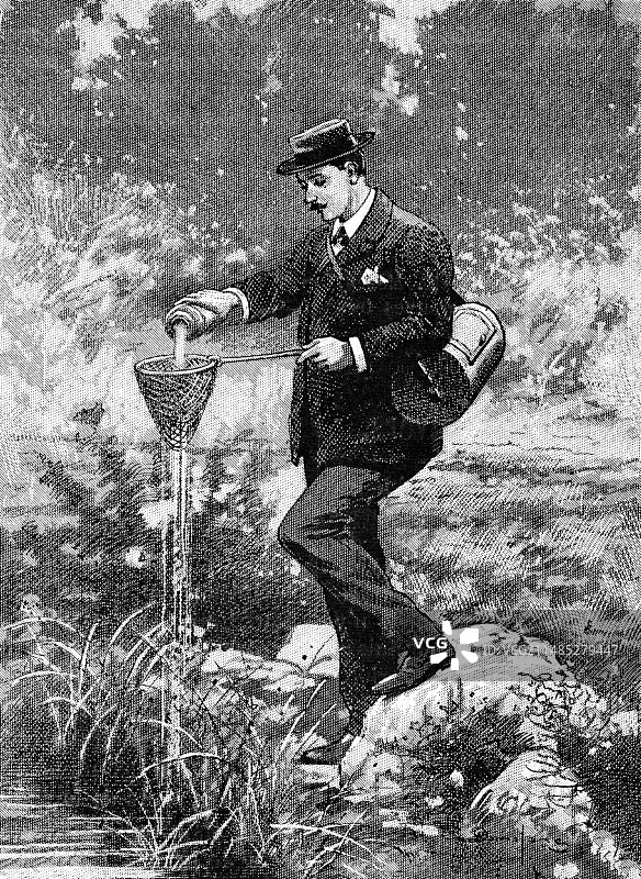 采集样本的昆虫学家，艺术作品图片素材