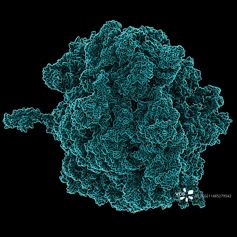 细菌核糖体分子模型图片素材