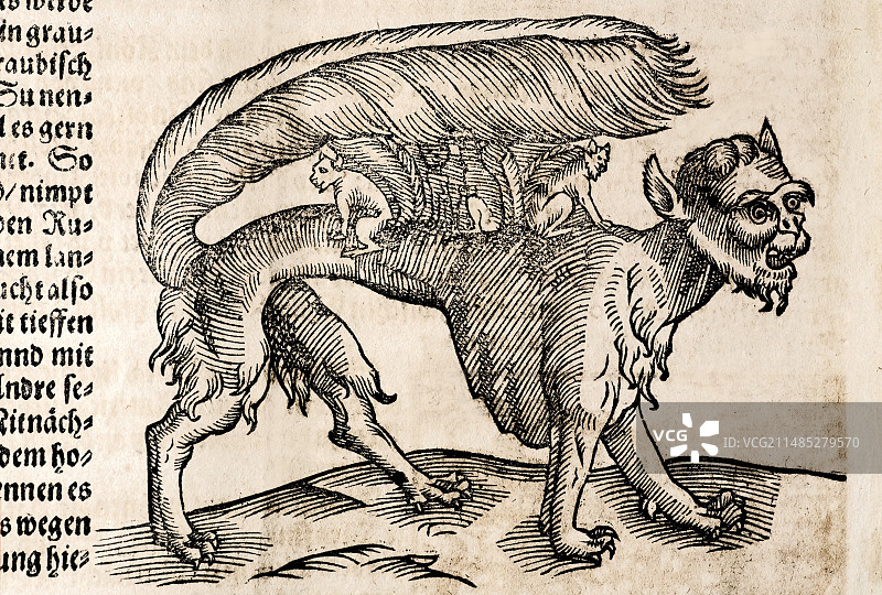 名为苏的野兽图片素材