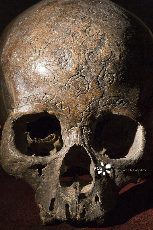 19世纪卡扬族 Dayak 雕刻头骨奖杯图片素材