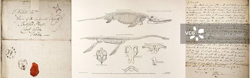 Conybeare蛇颈龙复原图图片素材