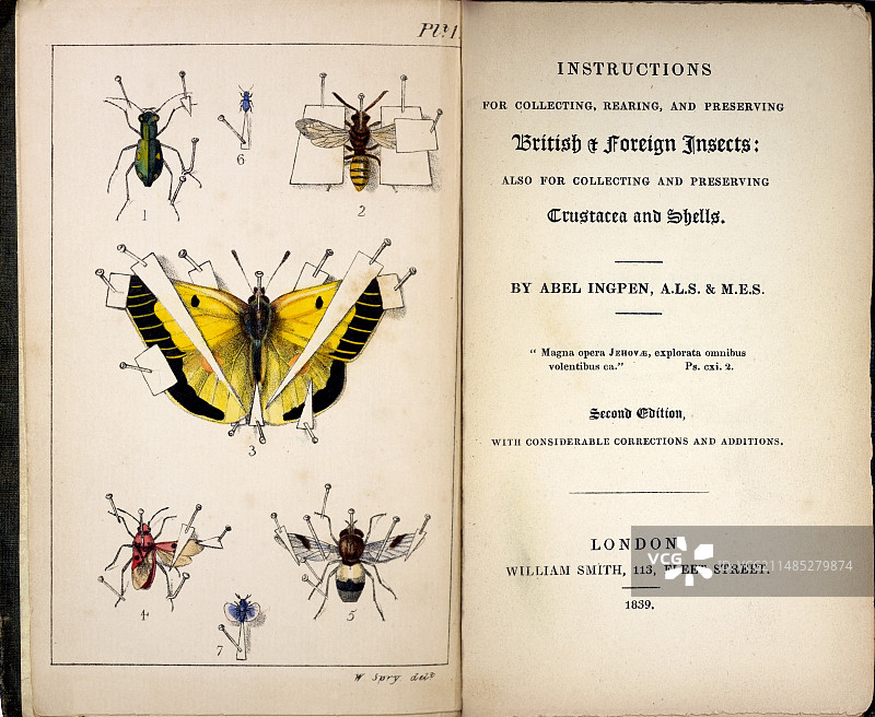 1827年、1839年：英国昆虫收藏图片素材