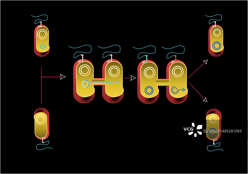 细菌接合艺术作品图片素材