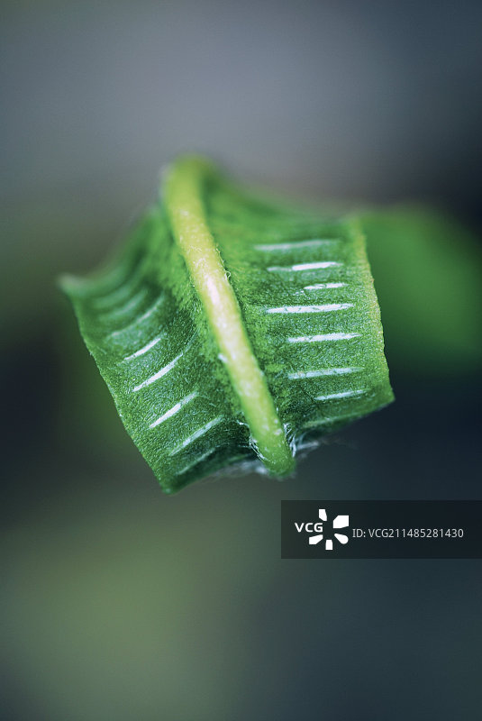 unfolding图片素材