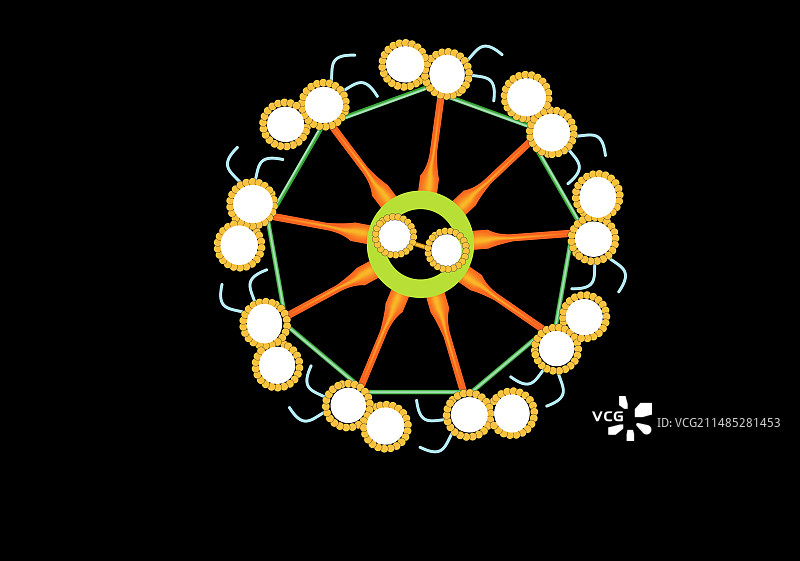 纤毛和鞭毛结构艺术图图片素材
