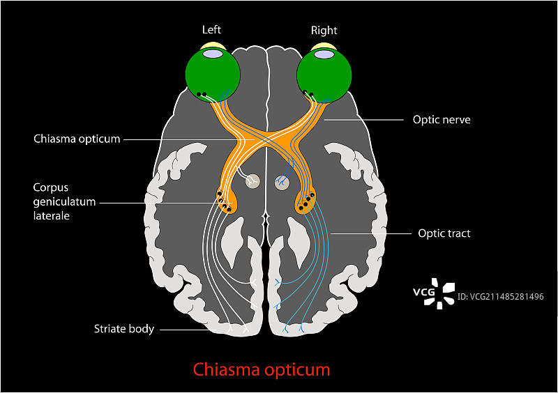 视觉通路艺术作品图片素材