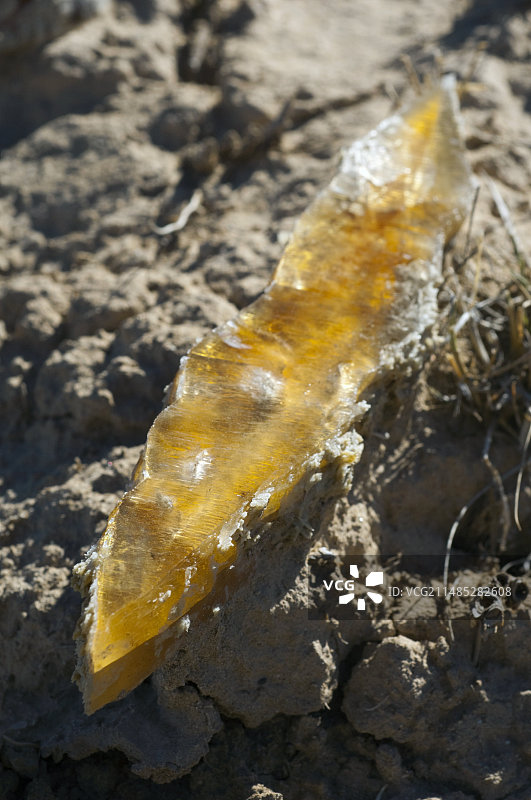 干燥湖床上的石膏晶体图片素材