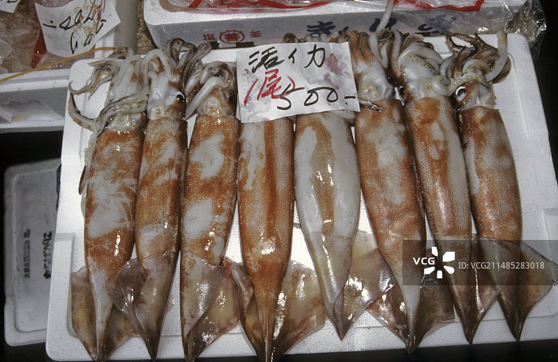 东京鱼市场图片素材