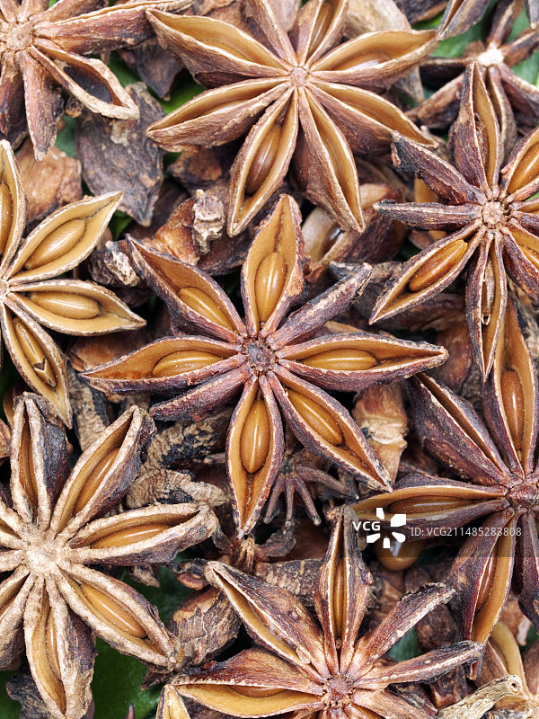 八角茴香果图片素材
